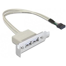 Delock 83119 USB 2.0 2 port Low Profile slot konzol
