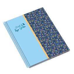 Ambar Just for Girls A4 80 lap vonalas új spirálfüzet