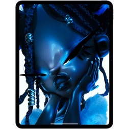 Apple 13" iPad Pro (M4) 1TB Cellular Space Black (fekete) - Nanotexturált üveg