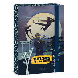 Ars Una Ninjas in the dark 25 (5457) A4 füzetbox