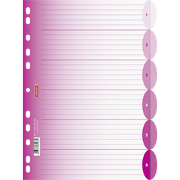 Brunnen A4 6 részes pink műanyag regiszter