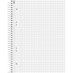 Brunnen Premium A5 80 lap kockás spirálfüzet