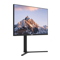 Dahua 24" LM24-B201A FHD IPS 100Hz DP/HDMI/VGA monitor