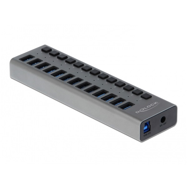 Delock 63738 SuperSpeed 13 portos kapcsolós USB 3.0 HUB
