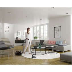 Electrolux EPF65BR barna porzsákos porszívó