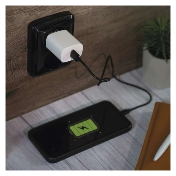 Emos BASIC 10 W max. univerzális USB töltő