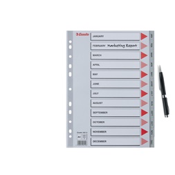 Esselte A4 12 hónapos műanyag regiszter