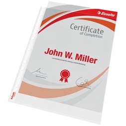 Esselte A4  Maxi 100 mikron 25db lefűzhető genotherm