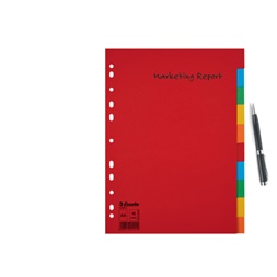 Esselte Economy A4 karton 10 részes elválasztólap