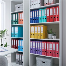 Esselte Standard A4 7,5cm bordó iratrendező