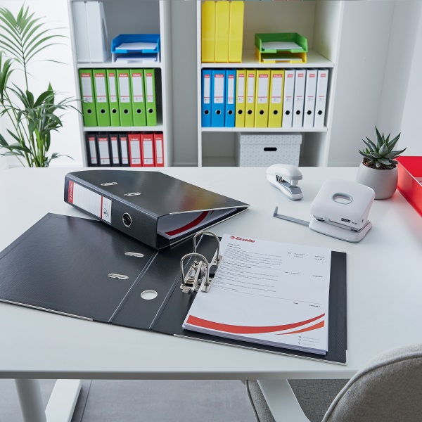 Esselte Standard Vivida A4 5cm zöld iratrendező