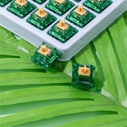 Gateron Beer Switch - Prémium Tactile Mechanikus switch szett (35db)