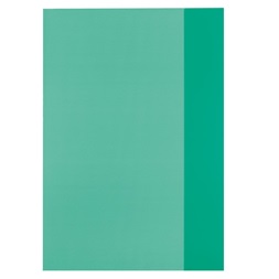 Herlitz A4 átlátszó zöld füzetborító