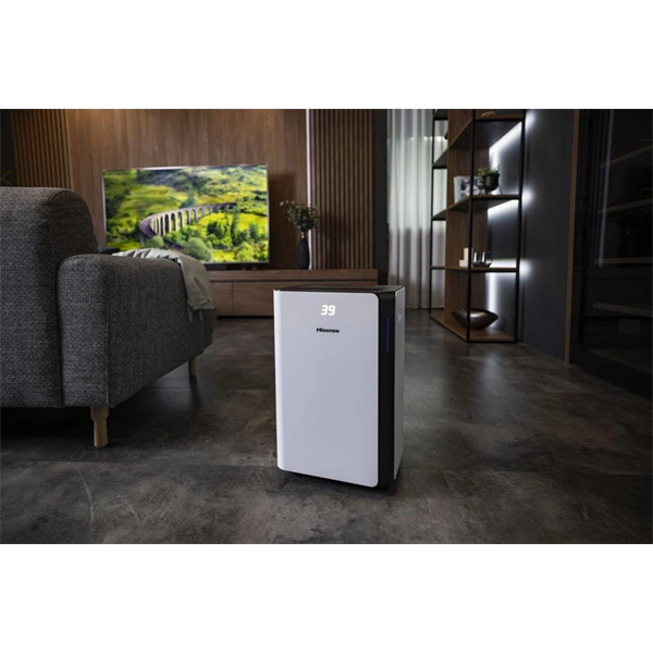 Hisense D20CW páramentesítő