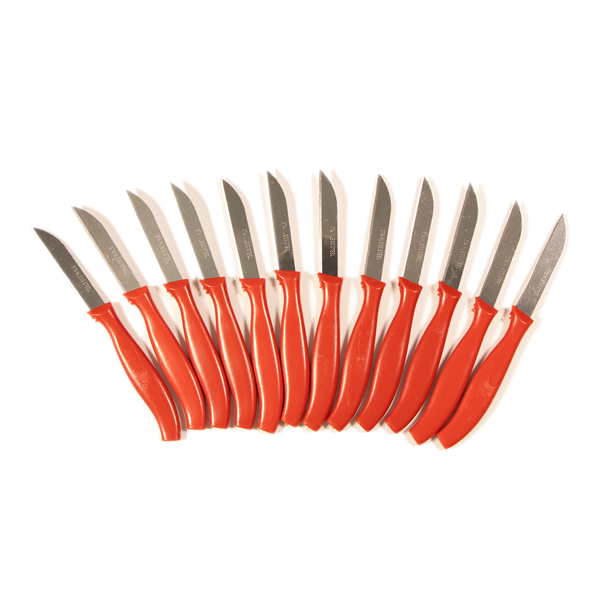 IRIS KT-604 12 darabos étkezőkés készlet