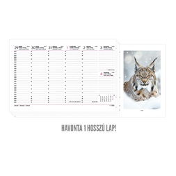 Kalendart 2026 T054 Vadászat álló papír asztali naptár
