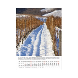 Kalendart 2026 T093 Borvidékeink falinaptár