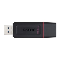 Kingston 256GB USB3.2 DataTraveler Exodia (DTX/256GB) Flash Drive