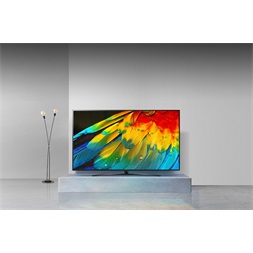 LG 50" 50NANO813QA 4K UHD Smart NanoCell LED TV