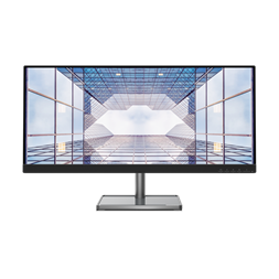 Lenovo 29" L29w-30 UW-FHD IPS HDMI/DP monitor