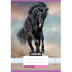 Nebulo Cuki minták A5 2. osztályos 16-32 tűzött vonalas füzet