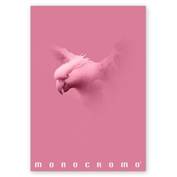 Pigna Monocromo Pink A4 38 lap, tűzött, kockás füzet