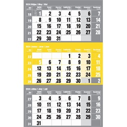 Realsystem 2024-es 6061 12lapos sárga speditőr naptár