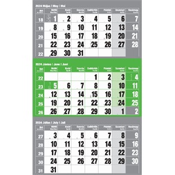 Realsystem 2024-es 6061 12lapos zöld speditőr naptár