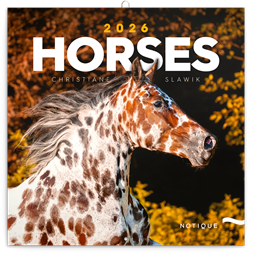 Realsystem 2026 Horses 6097-HO falinaptár