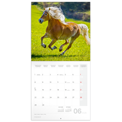 Realsystem 2026 Horses 6097-HO falinaptár