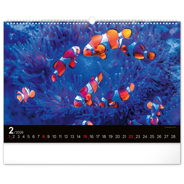 Realsystem 2026 Ocean 6094 falinaptár