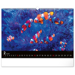 Realsystem 2026 Ocean 6094 falinaptár