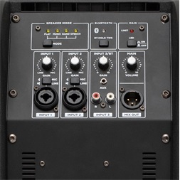 SAL PAS8W42S 600W professzionális hangszóró