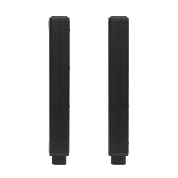 SAL PAS8W42S 600W professzionális hangszóró