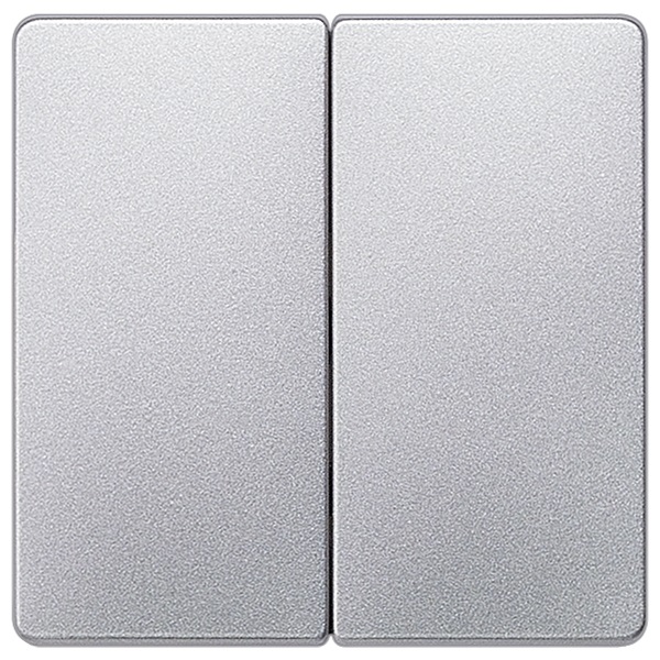 Siemens 5TG6245 DELTA I-SYSTEM alumínium 2-es billentyű