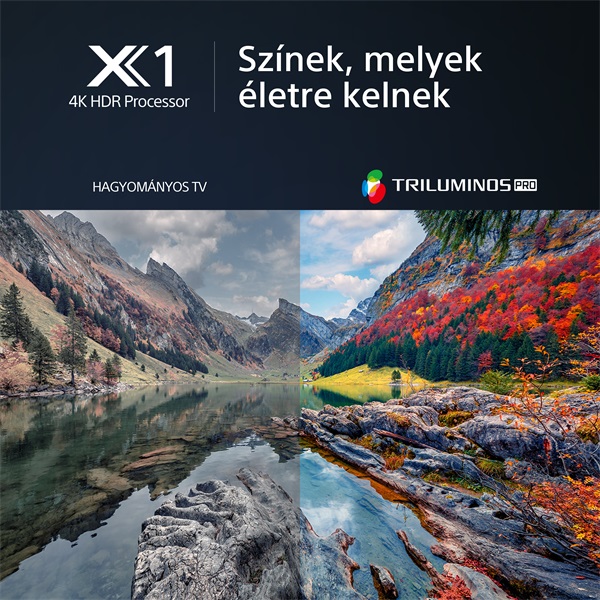 Sony 85" KD85X80LAEP 4K UHD Smart LED TV