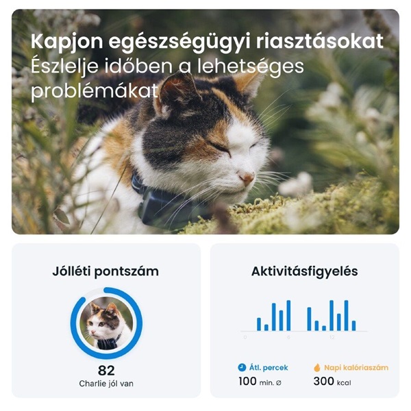 Tractive GPS CAT Mini kék macska GPS nyomkövető és tevékenységfigyelő