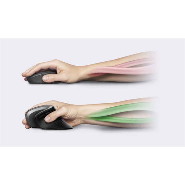 Trust Verro vezeték nélküli vertikális egér