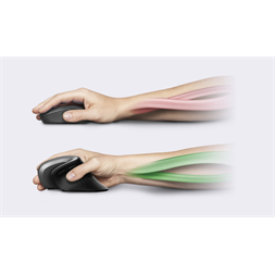 Trust Verro vezeték nélküli vertikális egér