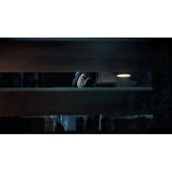 Until Dawn Sony PlayStation4 játékszoftver (Újszerű)