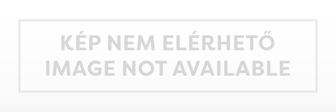 ACER TravelMate P4 - Üzleti társ a mindennapokban